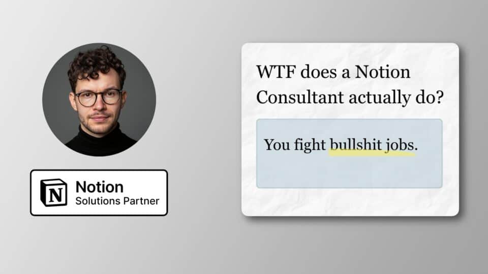 What does a Notion Consultant do?